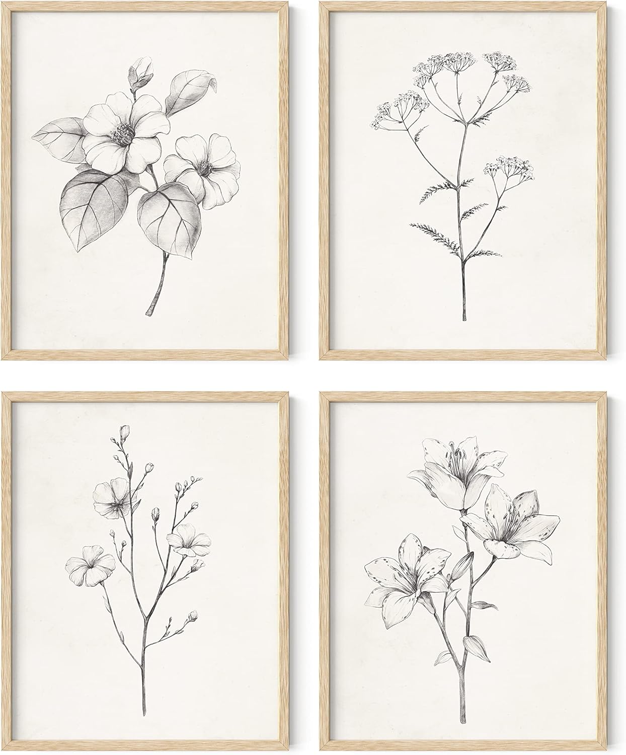 HAUS AND HUES Grey Floral Wall Art - Set of 4 Plant Posters for Wall Vintage, Botanical Prints, Black and White Flower Pictures for Room Aesthetic, Farmhouse Bathroom, Rustic Art (Beige Frame, 11x14)