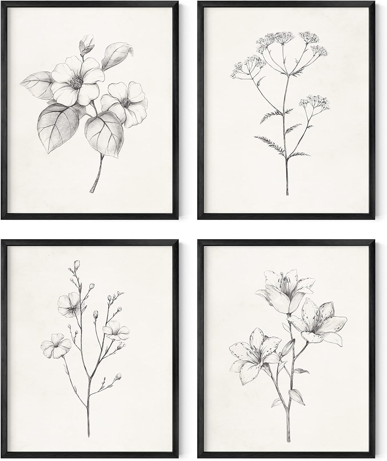 HAUS AND HUES Grey Floral Wall Art - Set of 4 Plant Posters for Wall Vintage, Botanical Prints, Black and White Wall Art Flower Pictures for Room Aesthetic, Farmhouse Bathroom Art (8x10, Unframed)