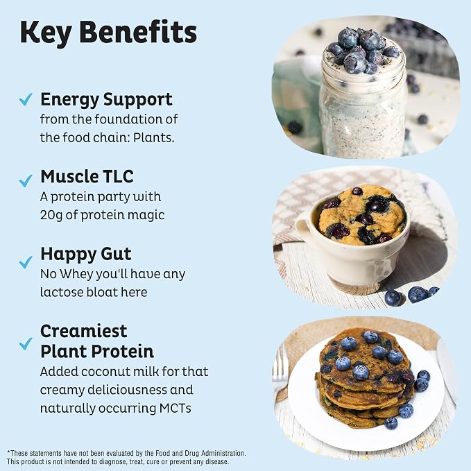 KOS Plant Based Protein Powder, Dairy Free - Image 3