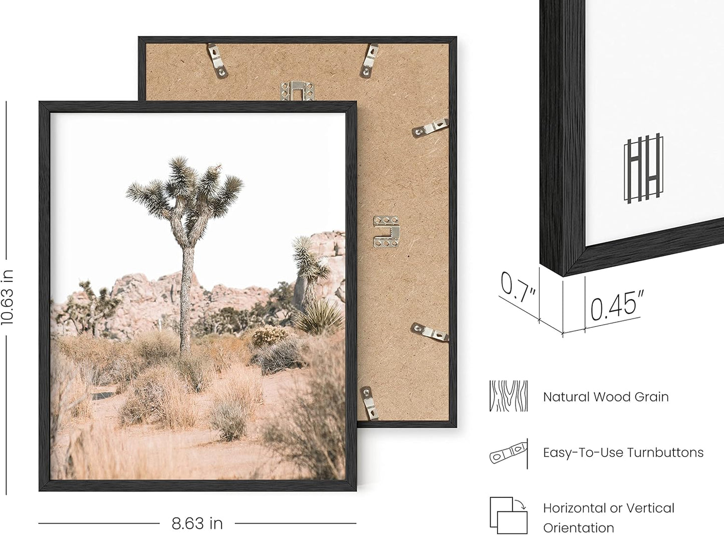 HAUS AND HUES Desert Succulent Wall Art Prints, Set of 6, 8x10 inches, Black Framed, Botanical Art Kitchen Prints