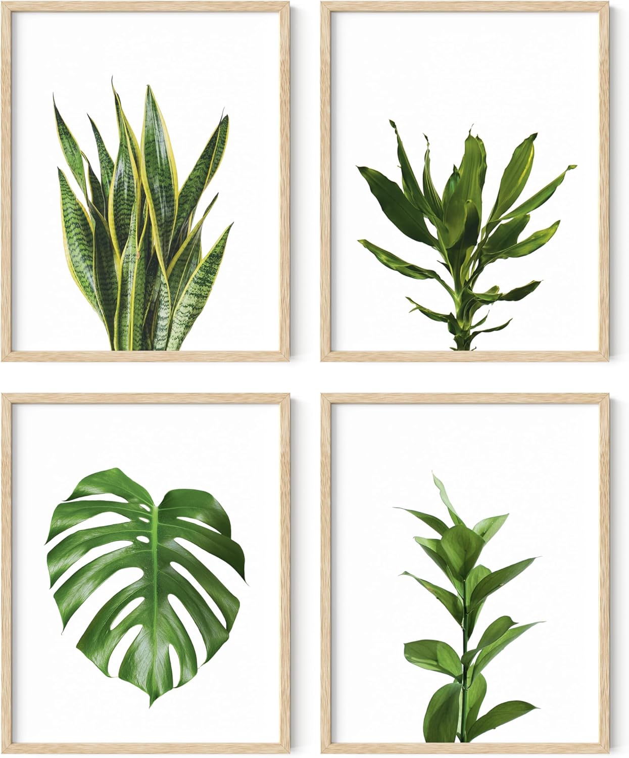HAUS AND HUES Plant Wall Art - Set of 4 Green Plant Pictures Collection, Botanical Prints, Sage Green Leaves Paintings, Minimalist Wall Decor (11x14, Beige Frame)