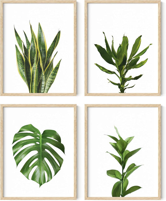 HAUS AND HUES Plant Wall Art - Set of 4 Green Plant Pictures Collection, Botanical Prints, Sage Green Leaves Paintings, Minimalist Wall Decor (11x14, Beige Frame)