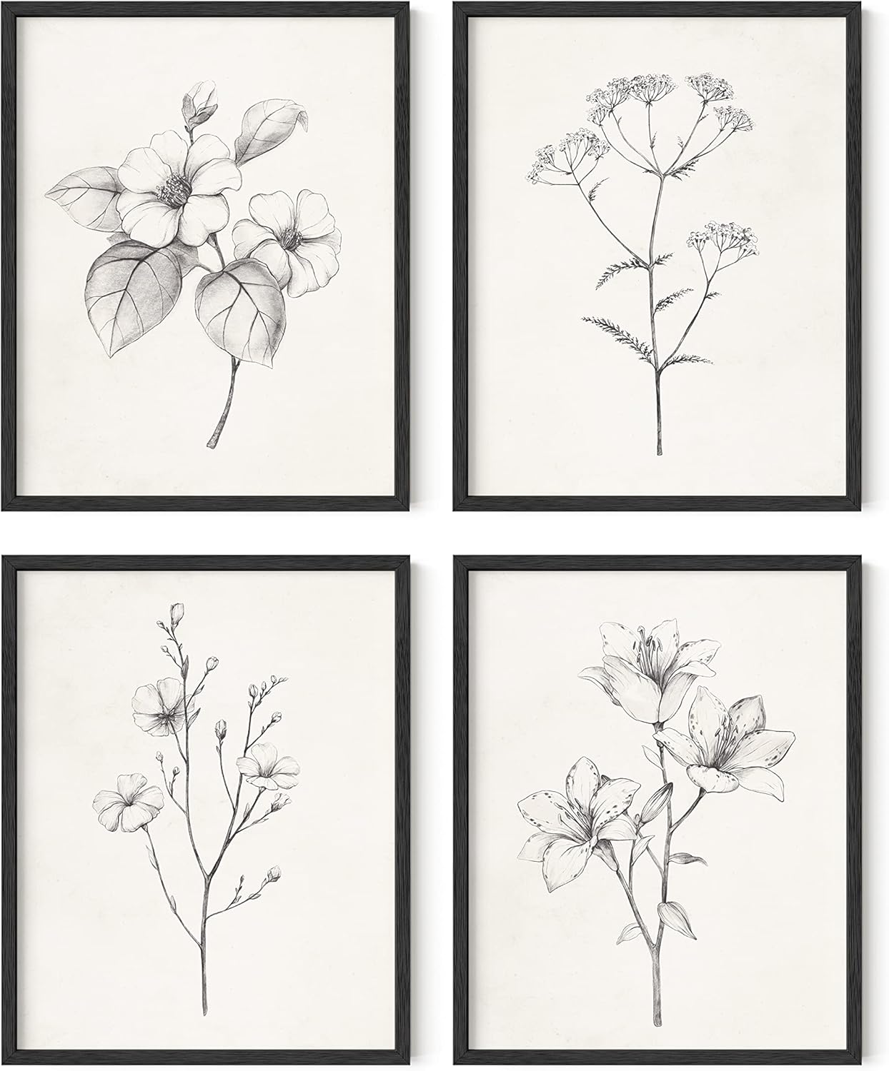 HAUS AND HUES Grey Floral Wall Art - Set of 4 Plant Posters for Wall Vintage, Botanical Prints, Black and White Flower Pictures for Room Aesthetic, Farmhouse Bathroom, Rustic Art (11x14, UNFRAMED)