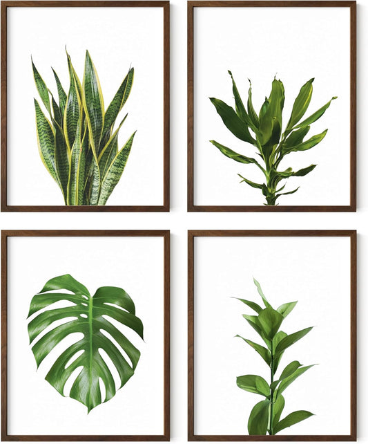 HAUS AND HUES Plant Wall Art - Set of 4 Plant Pictures and Green Wall Art Collection, Botanical Prints, Sage Green Leaves Paintings For Wall, Minimalist Poster (Walnut Frame, 11x14)