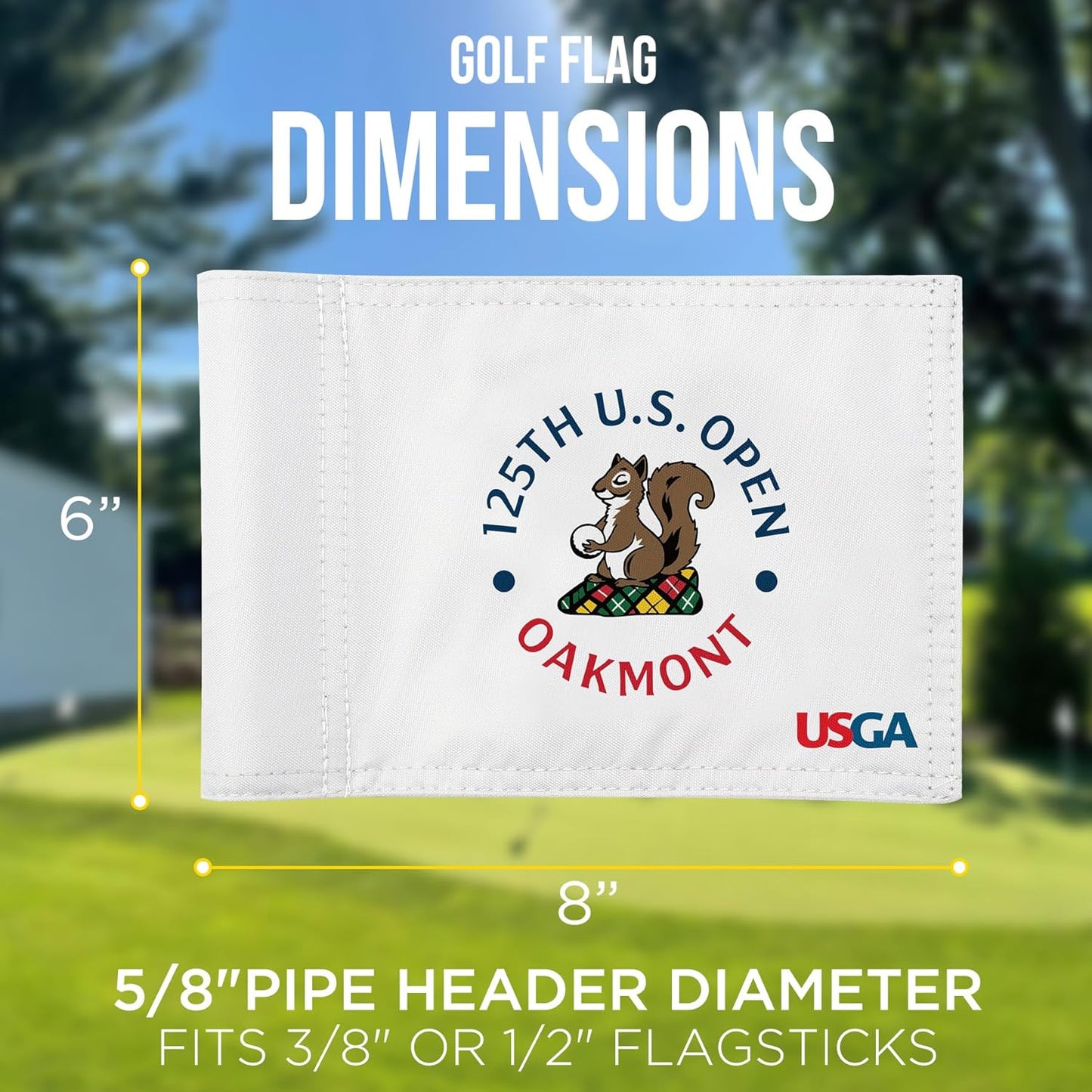 2025 Themed Mini Golf Flag, 8x6 Inch, Double-Sided Silk-Printed, Durable 420D Nylon, Ideal for Backyard Practice Putting Green