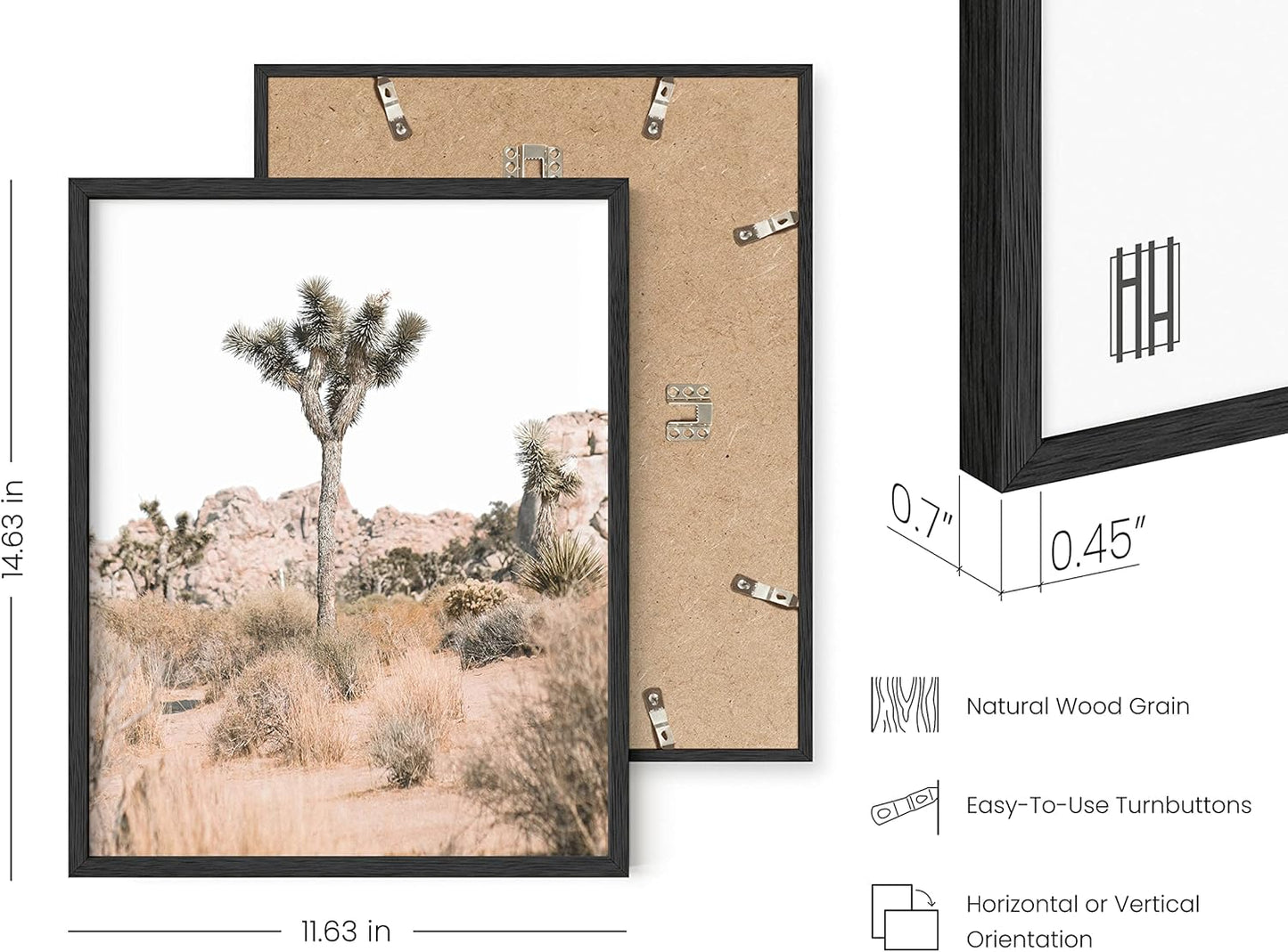 HAUS AND HUES Desert Succulent Wall Art – Set of 6 Botanical Cactus Prints, Cactus and Nature Art Decor, Kitchen Wall Prints (Black Frame, 11x14)