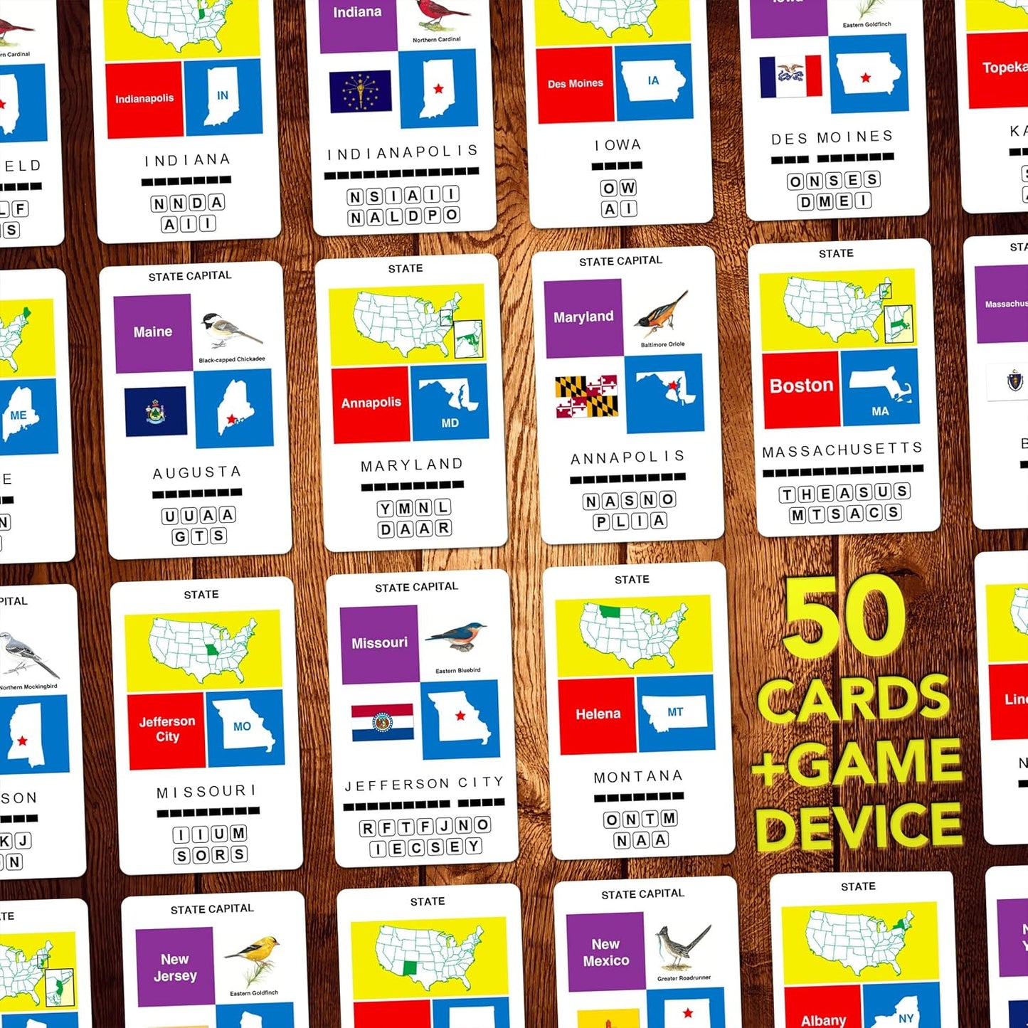 100 PICS US States & Capitals Flash Cards | All 50 States and Capitals to Learn | Fun and Functional Case | Ultimate Flashcards for United States Geography | Card Games for Kids and Adults | Ages 6+